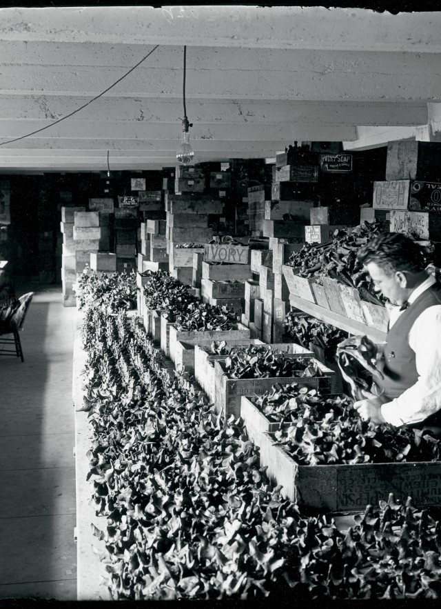 lytle_bones_tarpits_r&c