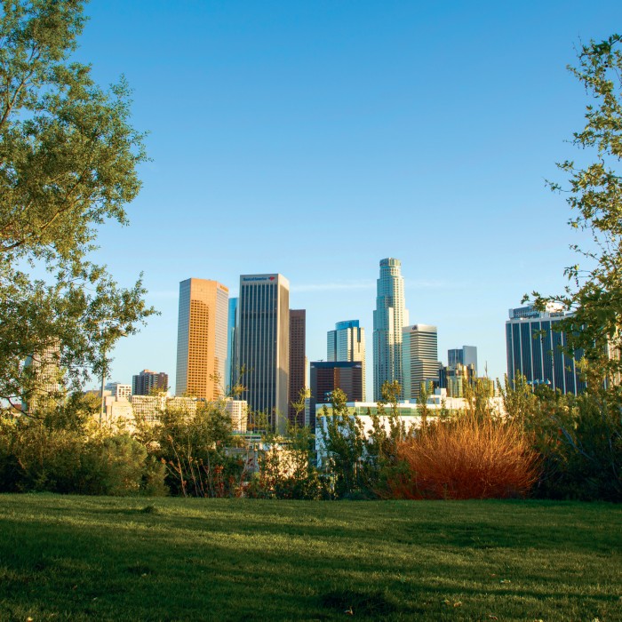 downtown los angeles in the afternoon