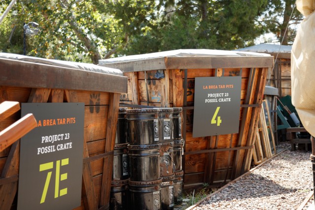 Project 23 boxes and bins 