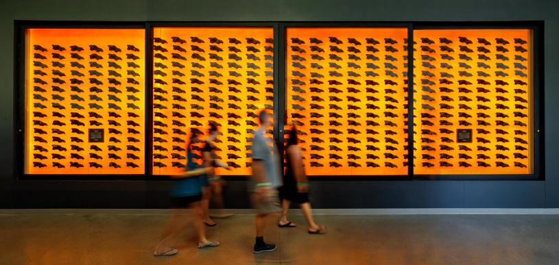 dire wolf wall at the tar pits