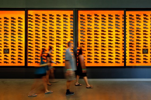 dire wolf wall at the tar pits