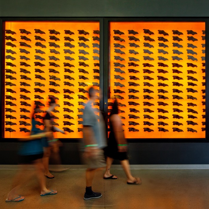 dire wolf wall at the tar pits