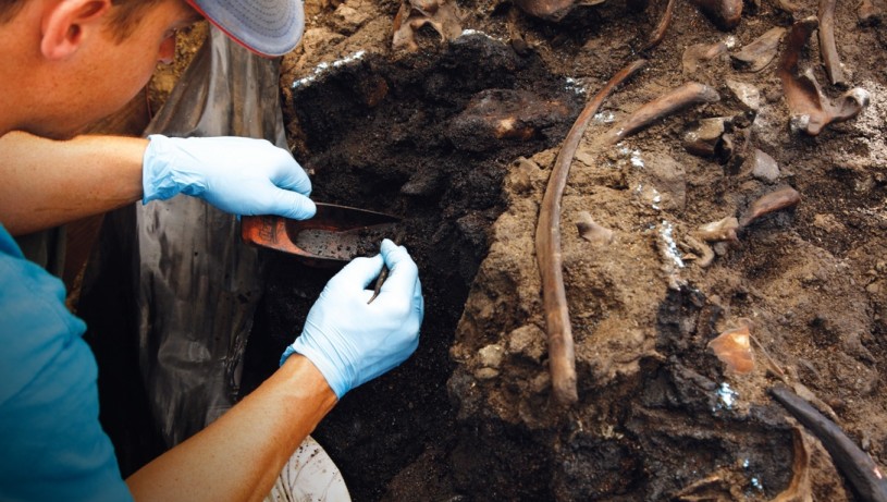 Photo of paleontologist excavating fossils 