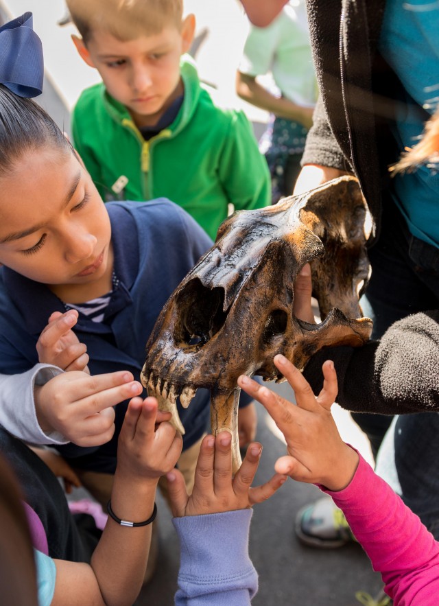 school group kids field trip skull tar pits