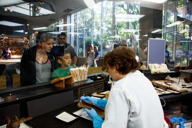 Onlookers watch scientists in the Fossil Lab