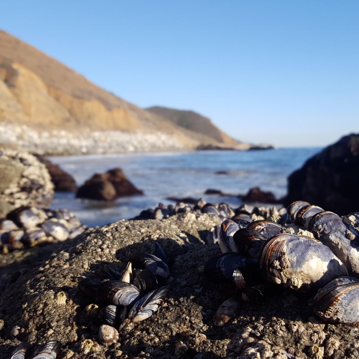 southern california coast image