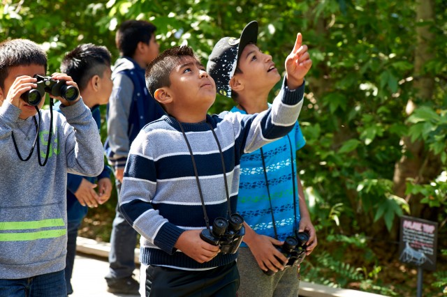 Group of boys with binoculars on a nature walk pointing up