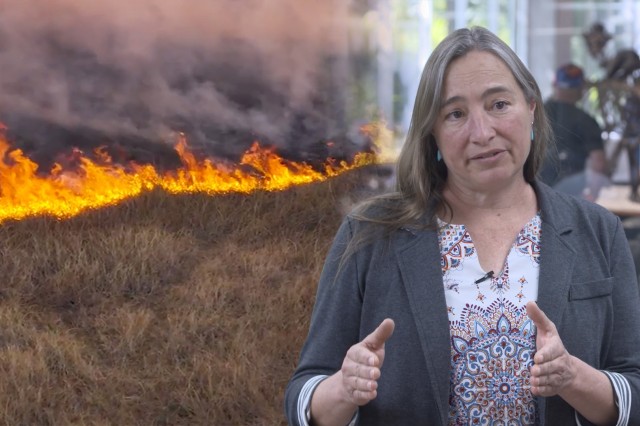 Extinction Study Regan Dunn What Ice Age Plants Reveal