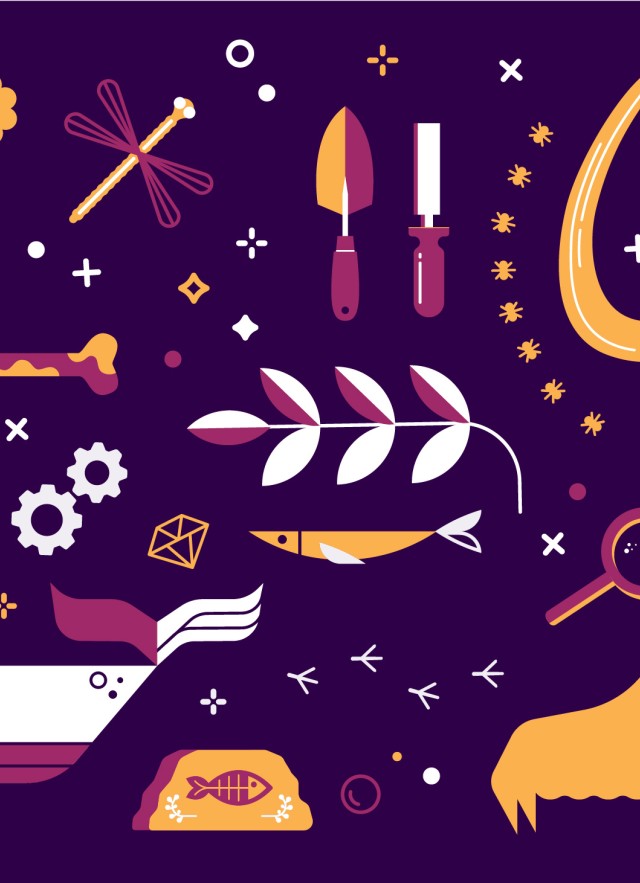 Skulls, dragonfly, gears, and other scientific illustrations in yellow, pink, and white on purple background