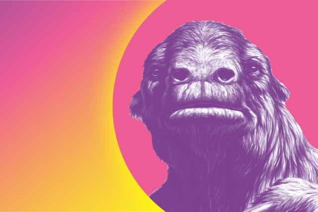 Sloth head with a pink, purple, orange, and yellow background