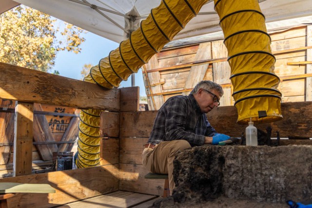 Mark Dion at Project 23