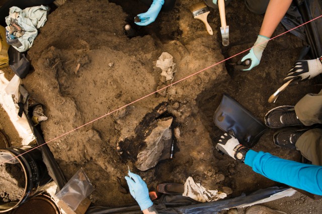 tar pits r&C excavations