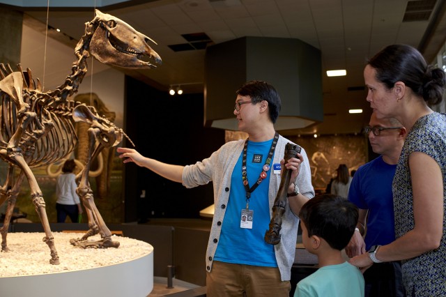 Floor Volunteer at La Brea Tar Pits