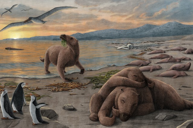 Illustration of aquatic sloths chilling by the beach next to some penguins and sea lions during a sun set