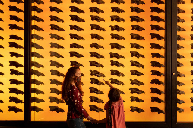 Mother and daughter holding hands with daughter pointing and a yellow-orange wall mounted with rows of dire wolf skulls