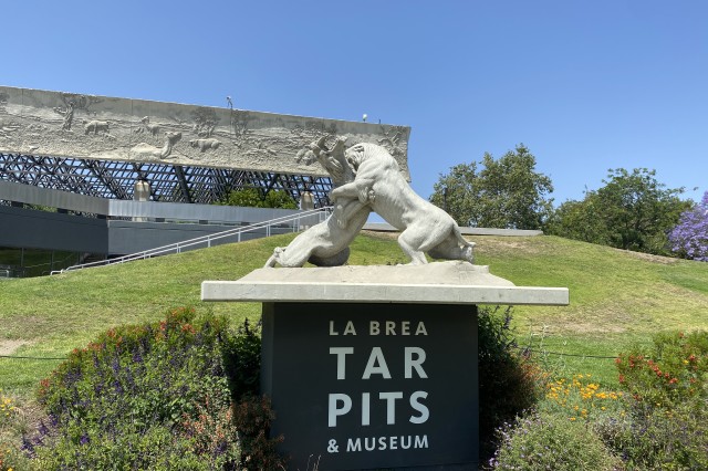 Saber-toothed Cat Statue in front of Museum