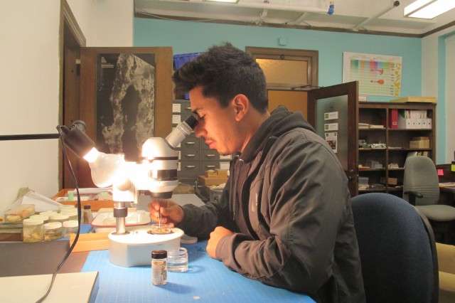 Student seated at a desk looking into a microscope