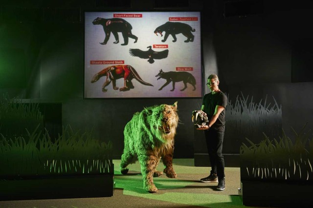 Performer holding saber-toothed cat skull next to life-size saber-toothed cat puppet