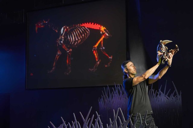 Performer holding up a saber-toothed cat skull with a projection of a saber-toothed cat skeleton in the background