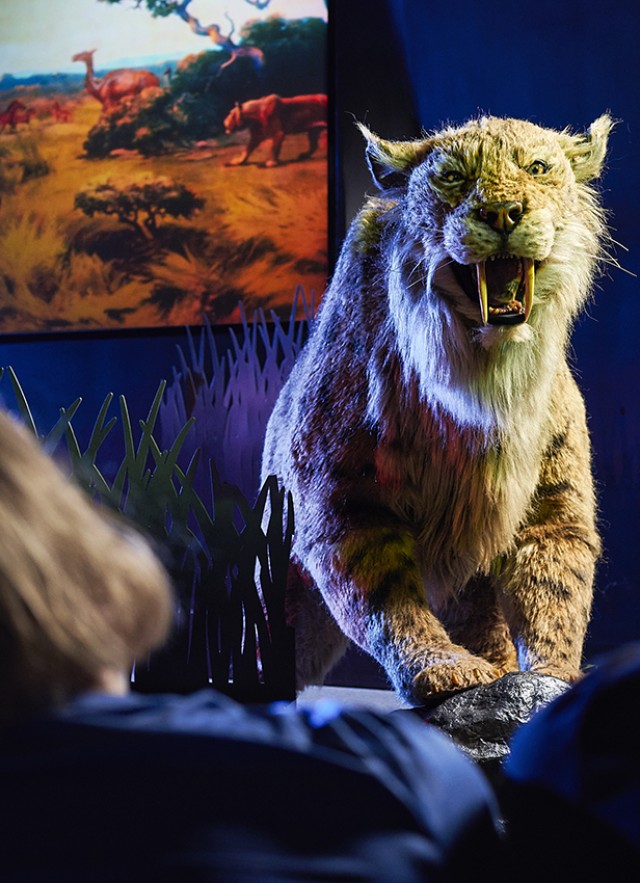 Saber-toothed cat puppet facing audience members
