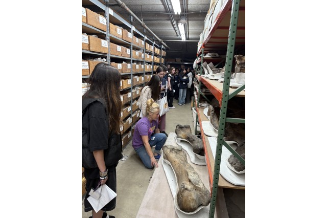 Collection manager and students looking at large fossil bone with shelves behind them