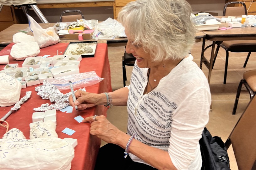 Volunteer writing on a blue post-it note, surrounded by specimens on a table