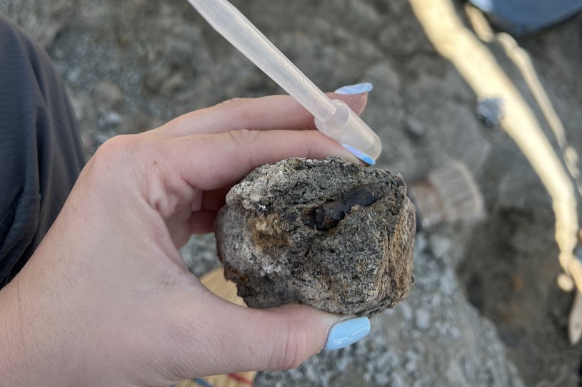 Closeup of  a hand with blue fingernails holding a clear pipette and a dinosaur fossil inside a rock 