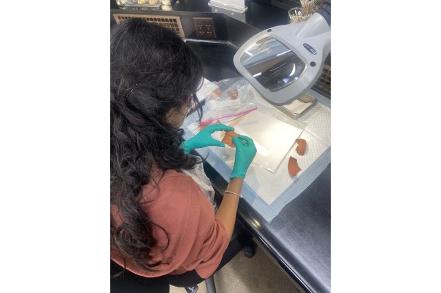 Gloved hands holding a specimen under a magnifier