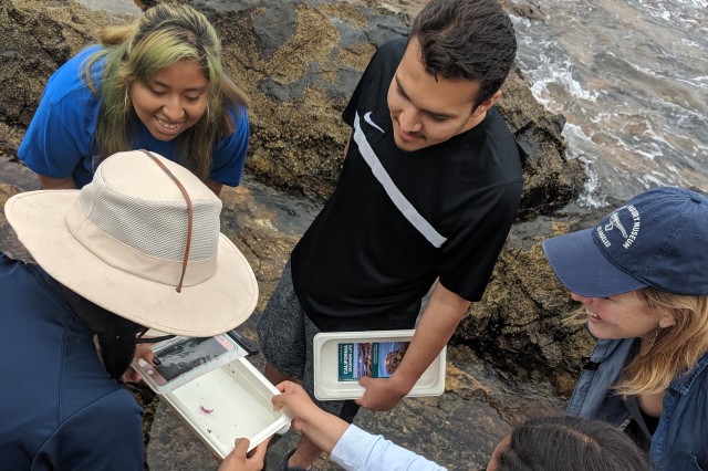 Marine Science interns in the field