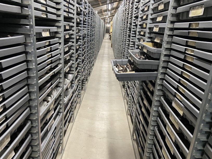An aisle of racks with some trays pulled out to show the fossils stored at La Brea Tar Pits