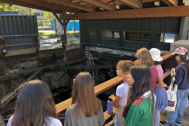 Students standing by a railing above a dig site