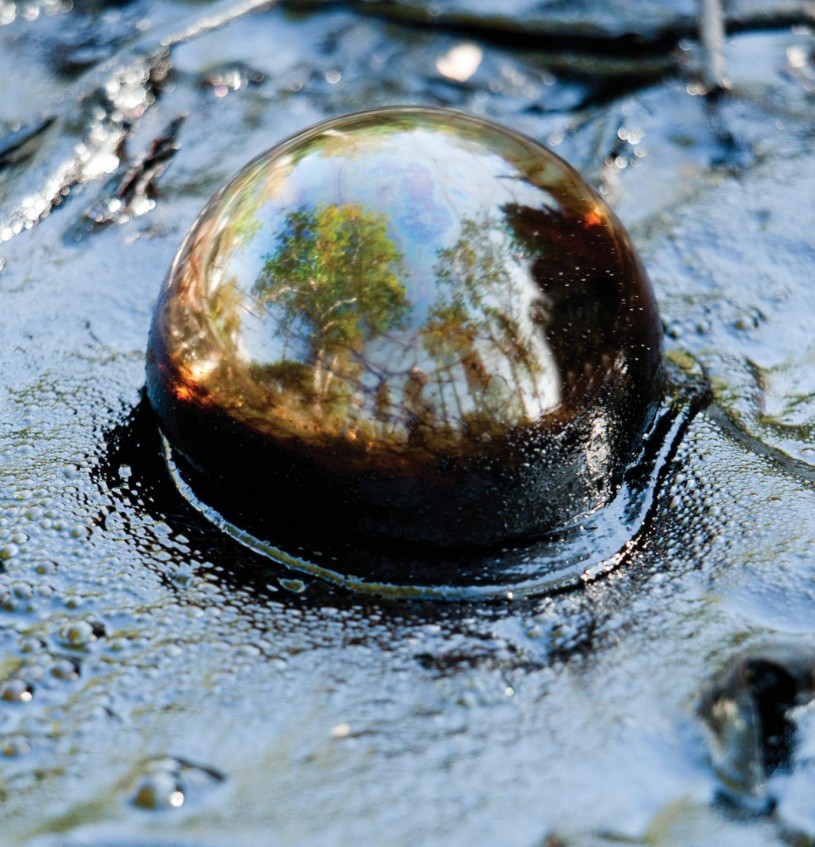 Tar Bubble at the La Brea Tar Pits