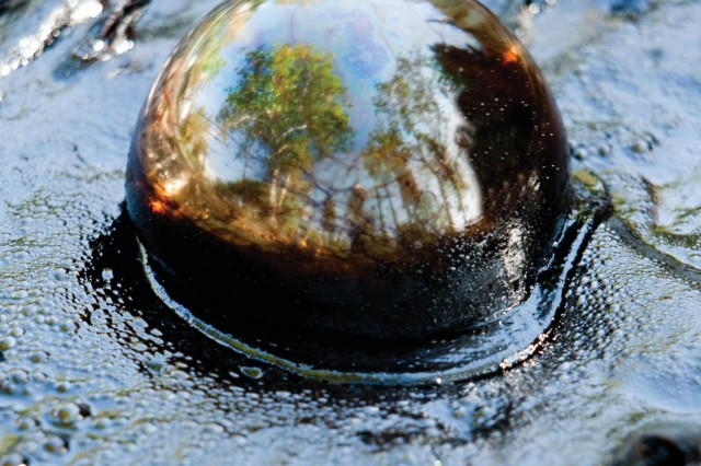 Tar Bubble at the La Brea Tar Pits