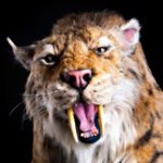 THELABREATARPITS Instagram