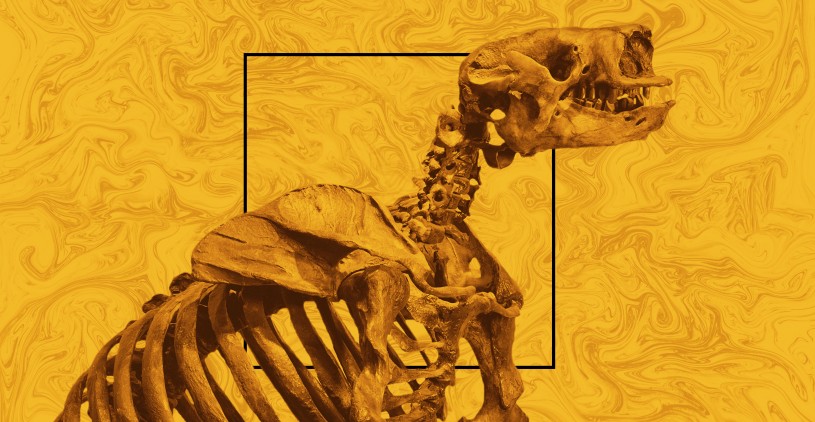 Graphic for Reimagine La Brea Tar Pits