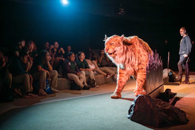 Saber-toothed cat puppet facing an audience