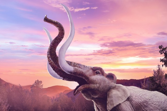 Mammoth and Mastodons hero image