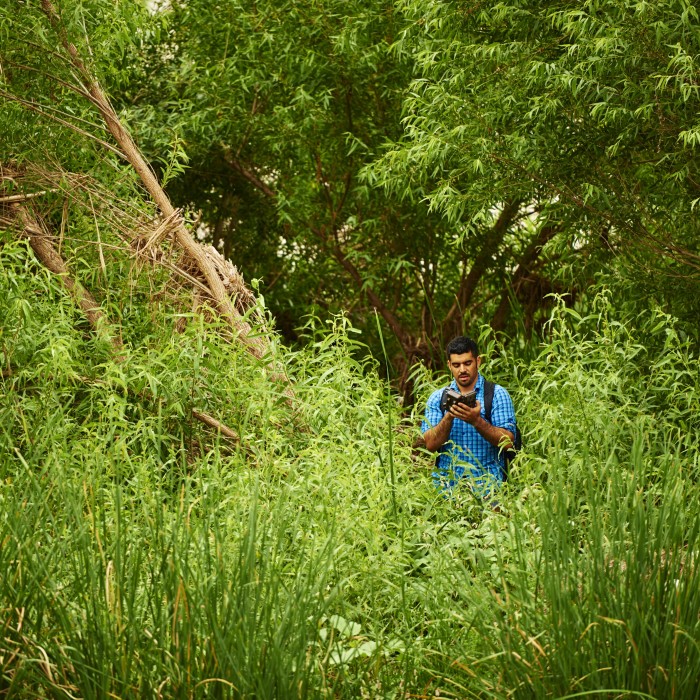 Miguel walking through field