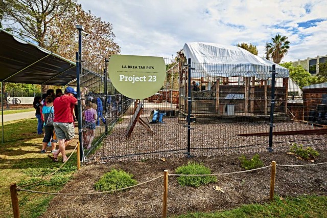 Visitors lined up outside of a fenced-in area with a Project 23 sign