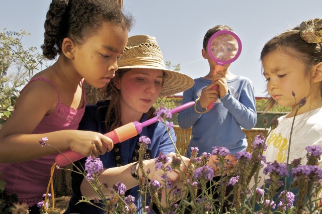 Children looking at flowers with magnifiers