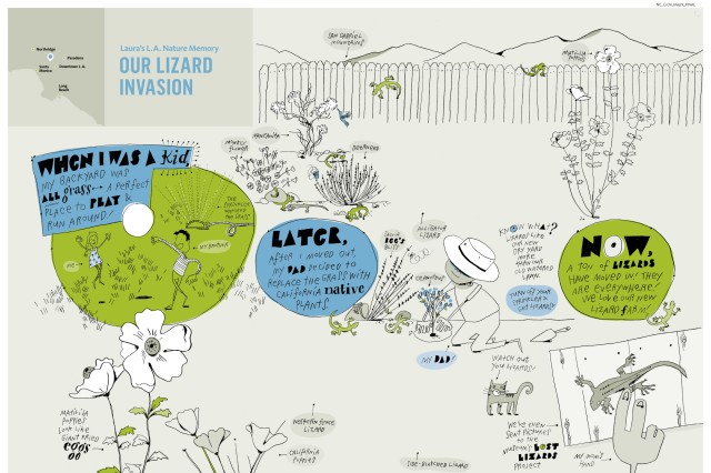 Laura's nature memory map of a "lizard invasion" in a backyard