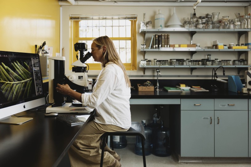 A scientiest looks at plant fossils in a microscope which arrays them on a screen to her left