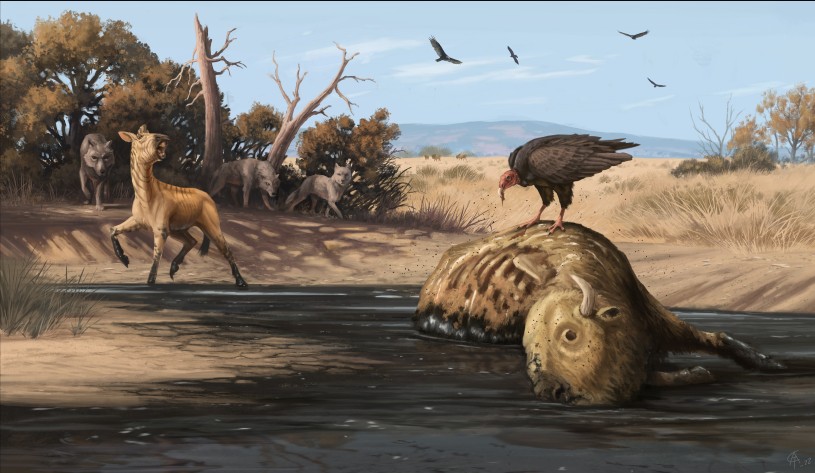 Bison stuck in the tar pits while western horse watches in horror