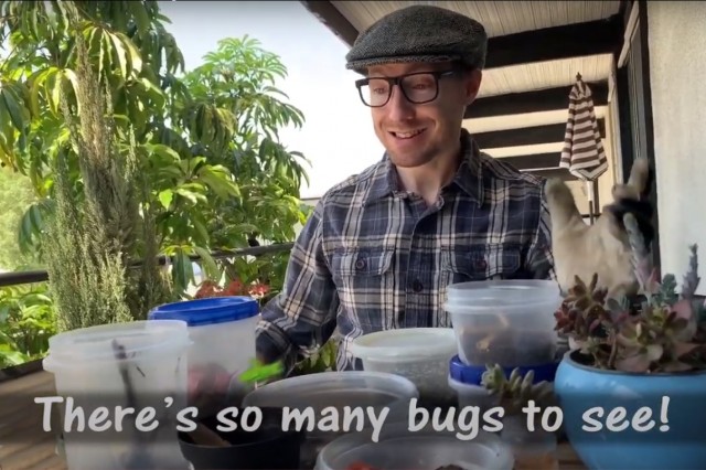 Man sitting on patio with text "there's so many bugs to see"
