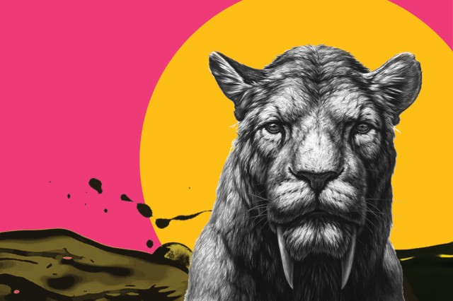 Saber-toothed Summer