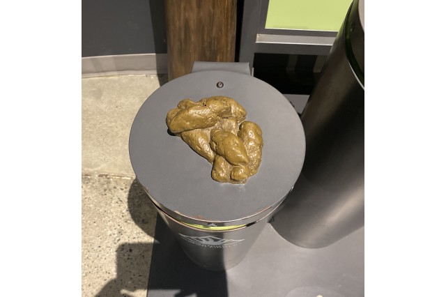 Model of saber-toothed cat poop