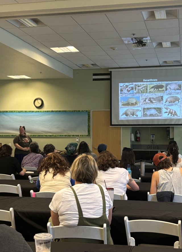 Five rows of educators sitting facing a projector screen. The screen is showing a slide of xenarthrans.