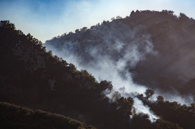 wildfire exhibit hero image