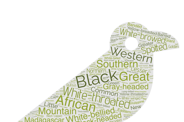 An silhouette of a bird filled with naming words like 'black' 'western' etc