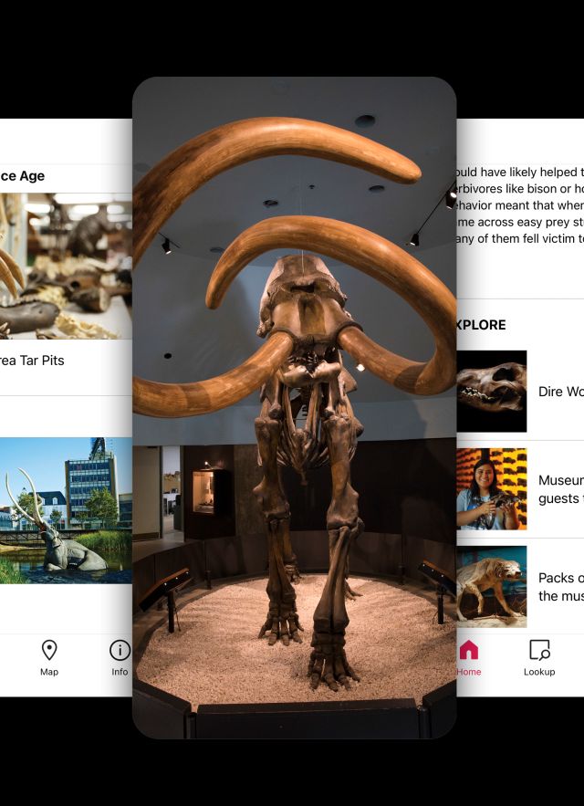 Bloomberg Connects Header Image depicting the screen of a guide user